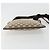 Borsa a tracolla GUCCI GG Canvas Beige Argento 27639 Auth 189298A - vista 9