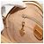 Borsa a tracolla GUCCI Micro GG Supreme PVC Beige Oro 007 983 1113 Auth ka5012 D'oro - vista 19