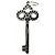 Pendente Fleur de Risky con motivo a chiave in platino Tiffany & Co. - vista 2
