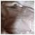 Borsa Tote Longchamp Le Pliage Cuir Beige - vista 12