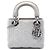 Lady Dior Cannage in agnello iridescente argento mini di Dior