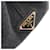 Borsa Prada Gray Small Canvas Canapa Logo Marrone - vista 4