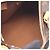 Louis Vuitton Brown Monogram Mini Speedy HL Marrone - vista 3
