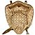Borsa Tote Gucci Sherry Line Beige - vista 5