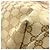 Borsa Tote Gucci Sherry Line Beige - vista 6