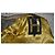 Hogan Lederjacke Gold Lamiert Golden - Ansicht 7