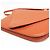 Bottega Veneta Mount Leather Small Arancione - vista 7