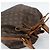 LOUIS VUITTON Bolso de Hombro Monogram Petit Noe M42226 LV Auth bs35733A Monograma - vista 6
