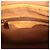Borsa a Spalla Louis Vuitton Vavin PM Monogram Marrone M51172 - vista 9