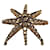 Broche Rochas Paris Starburst em strass Preto - vista 4