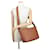 Borsa a tracolla Prada Vitello Daino Marrone - vista 4