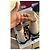 Valentino Garavani Rockstud Espadrilles Zeppa Denim Blu Beige - vista 6