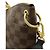 Borsa a tracolla Louis Vuitton Damier Odeon NM Marrone Damier ebene Monogramma - vista 5