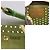 Louis Vuitton Pochette Plate Perforated Monogram Canvas PM Marrone - vista 4