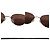 Gafas de sol Chanel 4003 sin montura marrón Castaño - vista 7