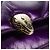 Bulgari Borsa a tracolla BVLGARI Serpenti Cabochon in pelle viola e oro Autentica 184409SAM D'oro Porpora - vista 20