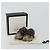 Scarpine per neonati GUCCI GG Canvas Sherry Line Beige Auth 188291A - vista 24