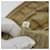 Borsa PRADA Nylon Avorio Oro Auth 189552A D'oro Crudo - vista 12