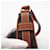 Céline Borsa a spalla CELINE Triomphe Mini Ava Marrone Beige - vista 13