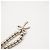 Bracciale con charm in argento Tiffany & Co. - vista 7