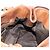 Borsa a mano Miu Miu Side Ribbon in pelle 2way Brown Gold Auth bs35815V Marrone D'oro - vista 23