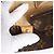 Borsa a tracolla Louis Vuitton Luco in tela Monogram marrone M51155 Beige - vista 11