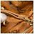 Zaino MCM in PVC marrone - vista 10