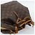LOUIS VUITTON Monogram Petit Noe Schultertasche M42226 LV Auth 189793A Monogramm - Ansicht 6