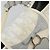 Christian Dior Trotter Canvas Romantic Kettenbeutel PVC Weiß Silber Authentisch 190241SAM - Ansicht 21
