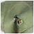 Borsa a mano LOEWE Anagram in pelle Verde Oro Auth bs35915 D'oro - vista 9