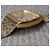 Seiko Emblem Montre Quartz Plaqué Or 7832-5000 Doré - vue 8