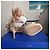 Stuart Weitzman Plume Sandali scamosciati rosa Beige - vista 5