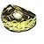 COACH Skulpturaler C-Ring Goldfarben EU 56 Golden - Ansicht 2