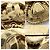 Spilla Vintage Chanel con design a quadrifoglio D'oro - vista 5