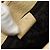 Bolso de Hombro GUCCI Lona y Cuero Beige Oro 002 1067 Auth 188585A Dorado - vista 12