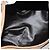 Céline Borsa CELINE Macadam Canvas PVC Beige Oro Autentica 187822 D'oro - vista 11