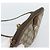 Borsa GUCCI GG Supreme Web Sherry Line PVC Beige Oro 904 02 047 Auth 189958 D'oro - vista 6
