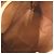 Borsa Louis Vuitton Speedy 35 Monogram Marrone Monogramma - vista 5