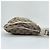 Borsa a Spalla Gucci Abbey - Beige - vista 6