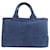 Borsa Prada Canapa Denim Blu - vista 2