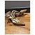 Rockstud Ankle Strap Pumps Valentino Garavani Braun - Ansicht 11