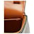Céline Borsa a tracolla e a spalla Celine Triomphe Mini Claude Marrone Nero - vista 6
