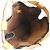 Borsa a Spalla Louis Vuitton Monogram Randonee PM Marrone - vista 9