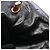 Everyday Borsa a tracolla Balenciaga Monaco Nero - vista 6