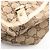 Borsa Tote Abbey GG Canvas di Gucci Beige Crudo - vista 8