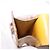 Hermès Custodia per rossetto HERMES in pelle gialla Auth ar14028 Giallo - vista 18