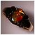 Autre Marque K14 14K Gelbgoldring mit Ammolit-Stein Golden - Ansicht 2