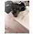 Sandali con zeppa Marc Jacobs in vernice nera Nero - vista 13