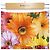 Dolce & Gabbana Dolce&Gabbana Rock Orange - Ansicht 4