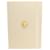 Chanel Gold lion A5 notebook Golden
